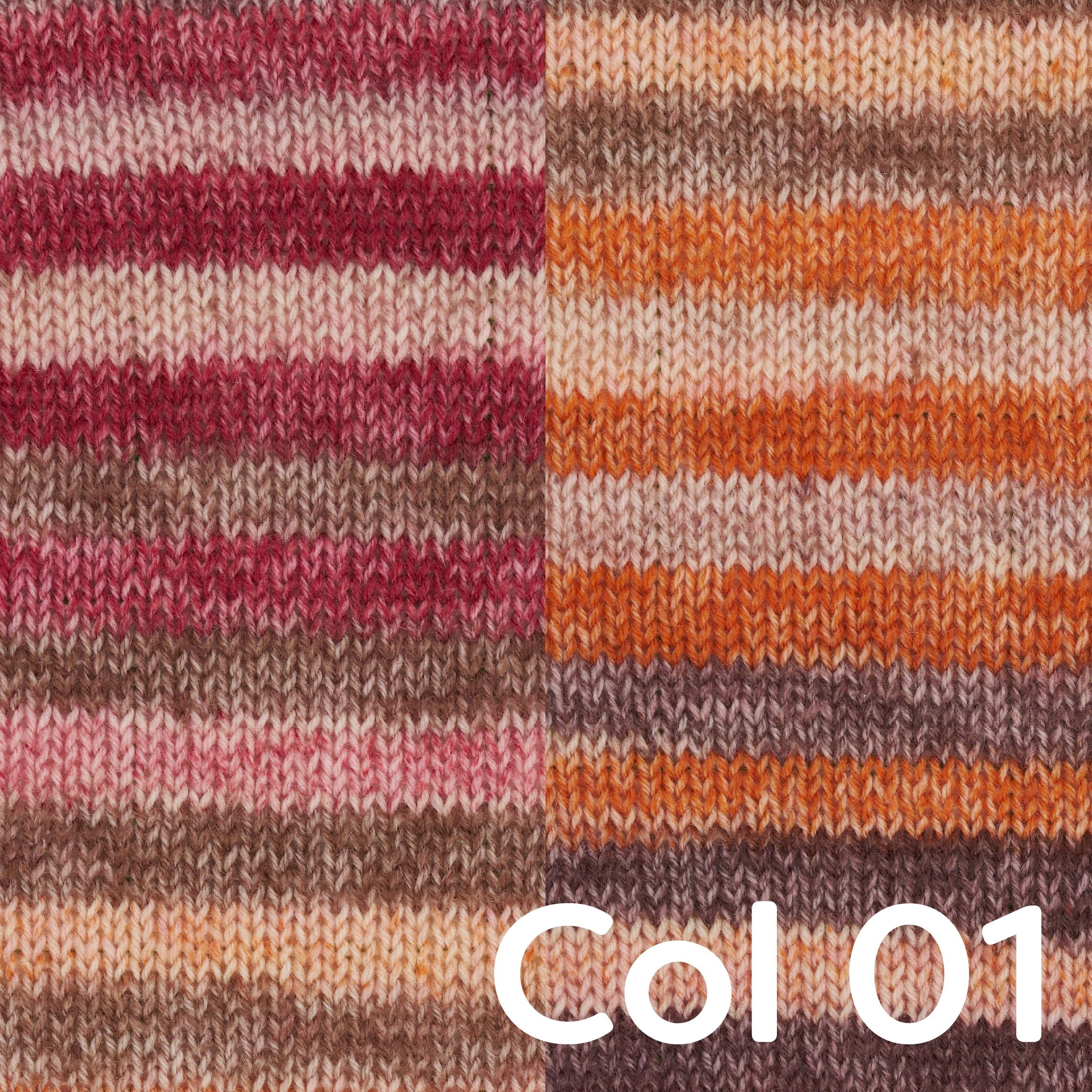 Regia 4-ply Color Himmelszelt (Edycja Limitowana) - Image 2